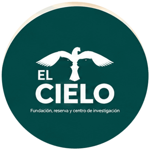 Fundación El Cielo